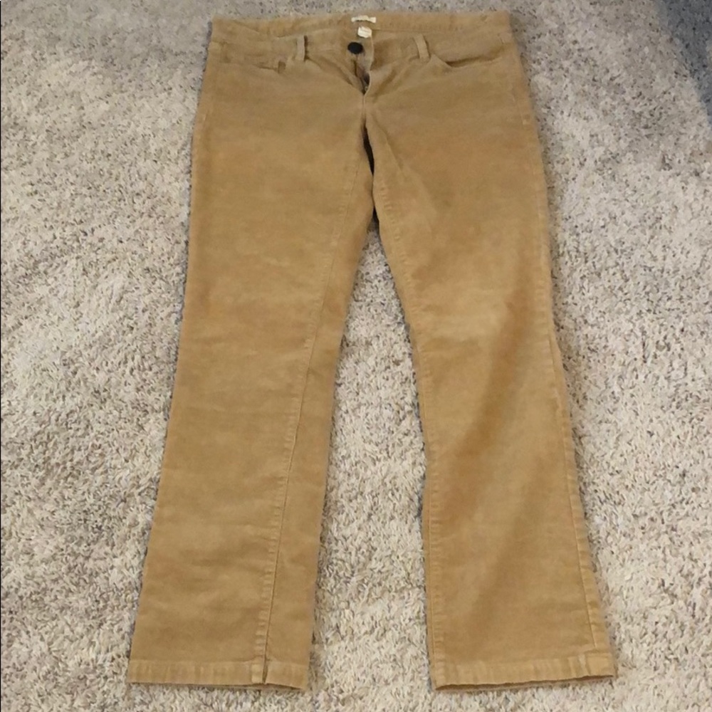 Corduroy